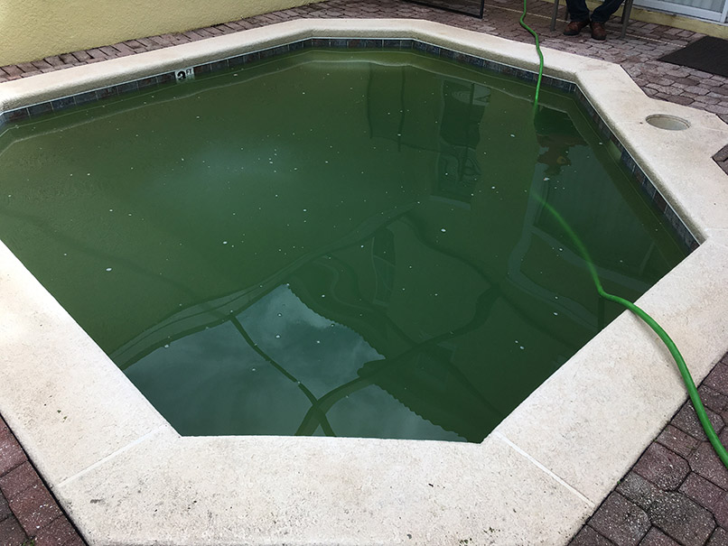 Green Pool before image